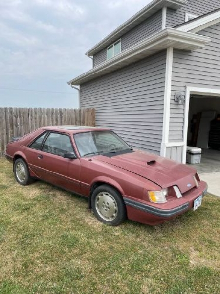 1984 Ford Mustang for sale in Michigan (ID-120495)