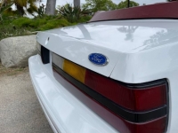 1984 Ford Mustang for sale in Michigan (ID-125585)