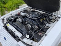 1984 Ford Mustang for sale in Michigan (ID-125585)