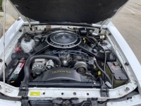 1984 Ford Mustang for sale in Michigan (ID-125585)