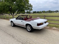 1984 Ford Mustang for sale in Michigan (ID-125585)