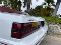 1984 Ford Mustang for sale in Michigan (ID-125585)