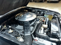 1984 Ford Mustang for sale in Addison, Illinois (ID-126897)