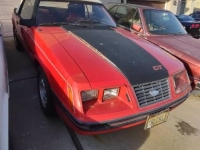 1984 Ford Mustang for sale in Michigan (ID-130932)