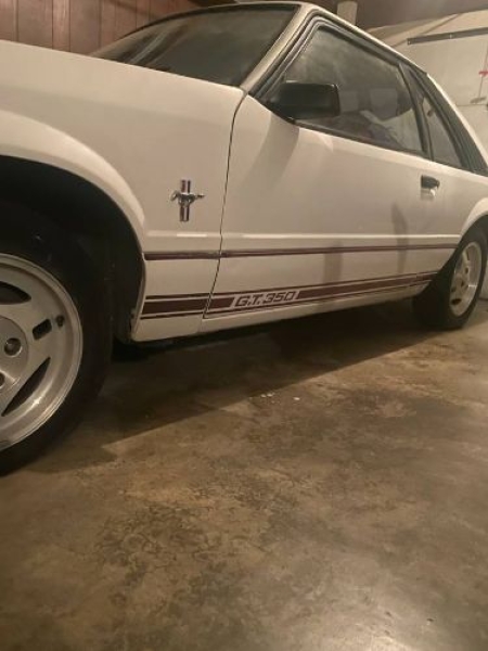1984 Ford Mustang for sale in Michigan (ID-132512)