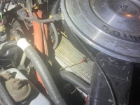 1984 Ford Mustang for sale in Michigan (ID-132512)