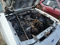 1984 Ford Mustang for sale in Michigan (ID-138912)