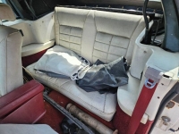 1984 Ford Mustang for sale in Michigan (ID-138912)