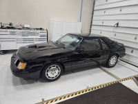 1984 Ford Mustang for sale in Michigan (ID-146582)