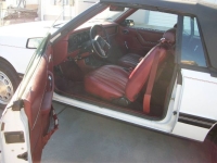 1984 Ford Mustang for sale in Michigan (ID-156121)