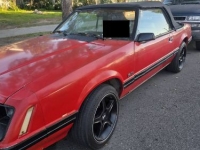 1984 Ford Mustang for sale in Michigan (ID-161558)