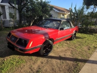 1984 Ford Mustang for sale in Michigan (ID-161558)