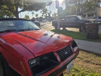 1984 Ford Mustang for sale in Michigan (ID-161558)