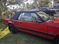 1984 Ford Mustang for sale in Michigan (ID-161558)