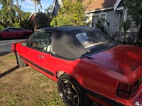 1984 Ford Mustang for sale in Michigan (ID-161558)
