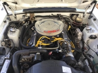 1984 Ford Mustang GT for sale in Michigan (ID-136985)