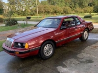 1984 Ford Thunderbird for sale in Michigan (ID-97817)