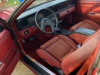 1984 Ford Thunderbird for sale in Michigan (ID-97817)