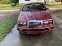 1984 Ford Thunderbird for sale in Michigan (ID-97817)