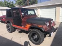 1984 Jeep CJ7 for sale in Michigan (ID-98223)