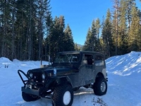 1984 Jeep CJ7 for sale in Michigan (ID-122951)