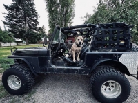 1984 Jeep CJ7 for sale in Michigan (ID-122951)