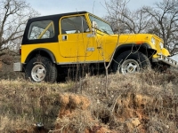 1984 Jeep CJ7 for sale in Michigan (ID-126657)
