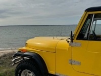 1984 Jeep CJ7 for sale in Michigan (ID-126657)