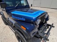 1984 Jeep CJ7 for sale in Michigan (ID-133425)