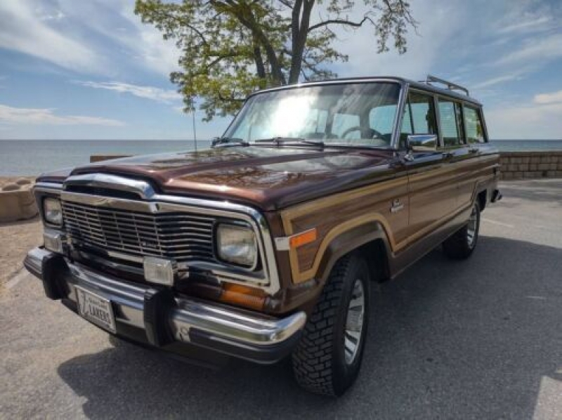 1984 Jeep Grand Wagoneer for sale in Michigan (ID-102798)