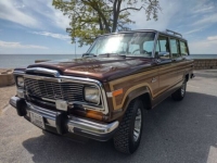 1984 Jeep Grand Wagoneer for sale in Michigan (ID-102798)