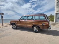 1984 Jeep Grand Wagoneer for sale in Michigan (ID-102798)