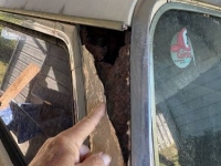 1984 Jeep Grand Wagoneer for sale in Michigan (ID-162198)