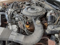1984 Lincoln Town Car for sale in Michigan (ID-102509)