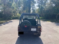 1984 Mitsubishi Jeep for sale in Michigan (ID-136211)