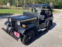 1984 Mitsubishi Jeep for sale in Michigan (ID-136211)
