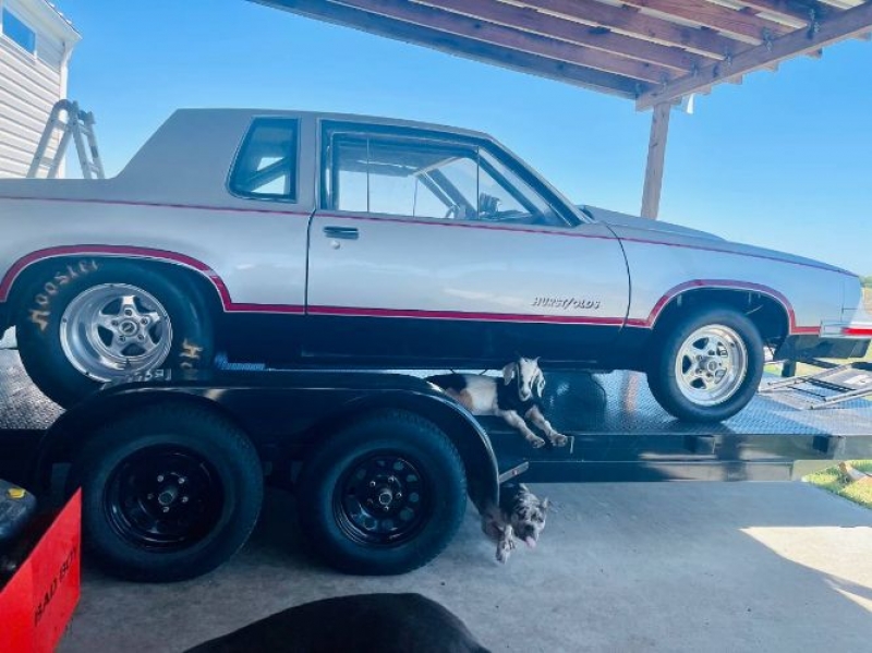 1984 Oldsmobile Cutlass for sale in Michigan (ID-110206)