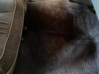 1984 Oldsmobile Cutlass for sale in Michigan (ID-124309)