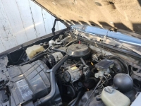 1984 Oldsmobile Cutlass for sale in Michigan (ID-142786)