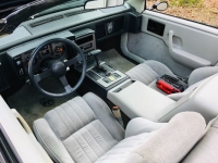 1984 Pontiac Fiero for sale in Michigan (ID-118671)