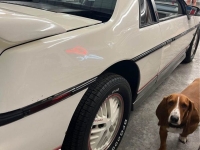 1984 Pontiac Fiero for sale in Riverhead, New York (ID-135173)