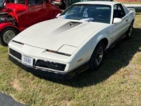 1984 Pontiac Firebird for sale in Michigan (ID-128028)
