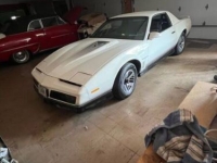 1984 Pontiac Firebird for sale in Michigan (ID-128028)