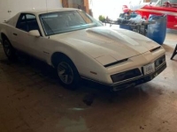 1984 Pontiac Firebird for sale in Michigan (ID-128028)