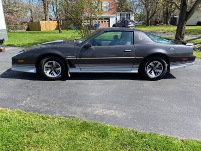 1984 Pontiac Firebird for sale