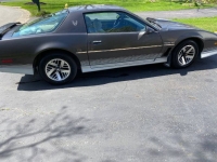 1984 Pontiac Firebird for sale in Michigan (ID-128307)