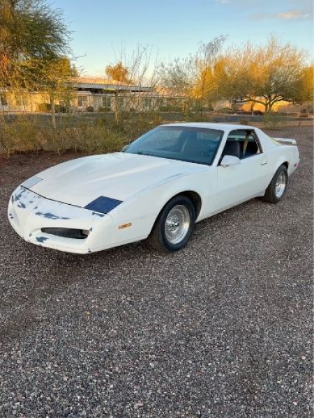 1984 Pontiac Firebird for sale in Michigan (ID-136661)