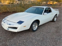 1984 Pontiac Firebird for sale in Michigan (ID-136661)