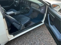 1984 Pontiac Firebird for sale in Michigan (ID-136661)