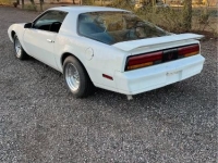 1984 Pontiac Firebird for sale in Michigan (ID-136661)
